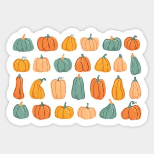 Bunch of cute pumpkins Sticker